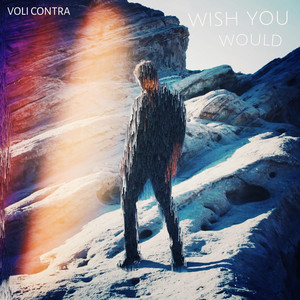 Wish You Would - Voli Contra | Song Album Cover Artwork
