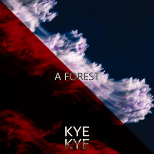 A Forest Kye Kye | Album Cover