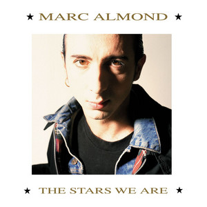 Something's Gotten Hold of My Heart Marc Almond | Album Cover