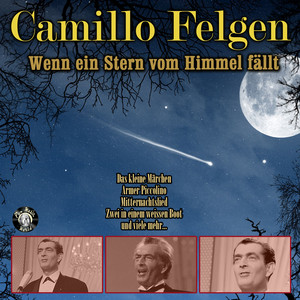 Sag warum - Camillo Felgen | Song Album Cover Artwork