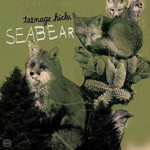 Teenage Kicks Seabear | Album Cover