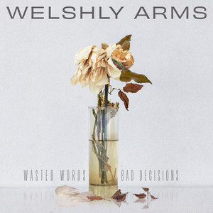 Find My Way Home - Welshly Arms | Song Album Cover Artwork