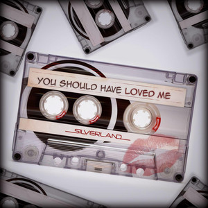 You Should Have Loved Me - Radio Edit - Silverland | Song Album Cover Artwork