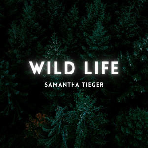Wild Life Samantha Tieger | Album Cover