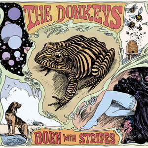 Don't Know Who We Are - The Donkeys | Song Album Cover Artwork