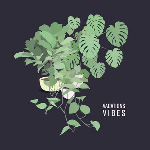 Young - Vacations | Song Album Cover Artwork