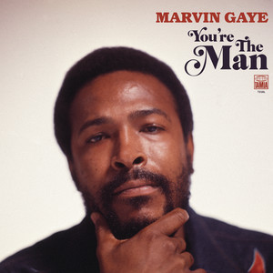 Piece of Clay - Marvin Gaye & Tammi Terrell | Song Album Cover Artwork