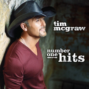 The Cowboy In Me - Tim McGraw | Song Album Cover Artwork
