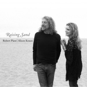 Please Read the Letter - Robert Plant | Song Album Cover Artwork
