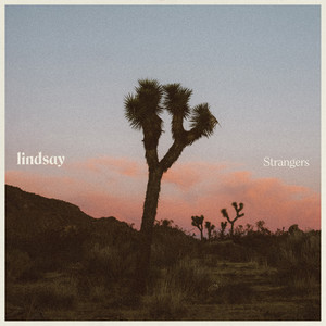 Strangers - LANKS | Song Album Cover Artwork
