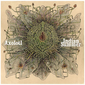 Indian Summer - Lord Buffalo | Song Album Cover Artwork