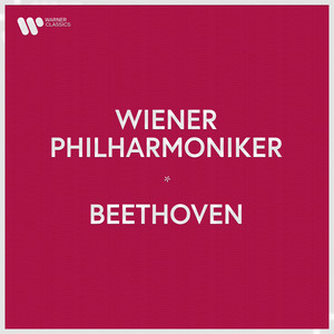 Beethoven: Violin Concerto in D Major, Op. 61: II. Larghetto - Ludwig van Beethoven | Song Album Cover Artwork