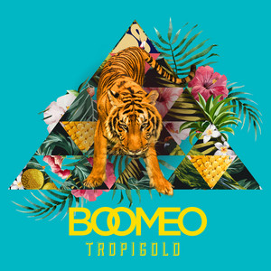 Moves - Boomeo | Song Album Cover Artwork
