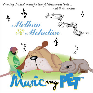 Consolation No. 3 in D-Flat Major, S.172 - Music My Pet