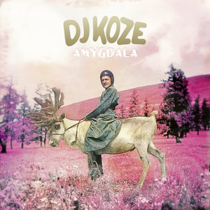 Marilyn Whirlwind - DJ Koze | Song Album Cover Artwork