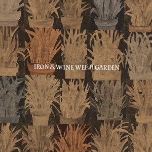 Autumn Town Leaves - Iron & Wine | Song Album Cover Artwork