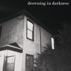 Drowning in the Darkness David Paul Zimmer | Album Cover