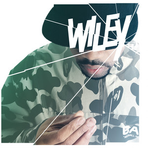 Wot Do U Call It? - Wiley | Song Album Cover Artwork