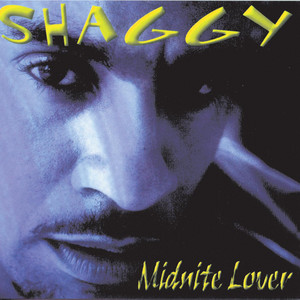 My Dream - Shaggy | Song Album Cover Artwork