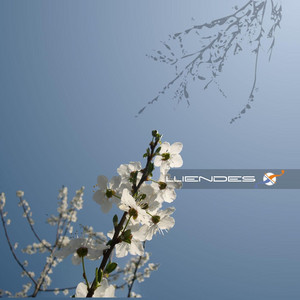 Lloza - Xera | Song Album Cover Artwork