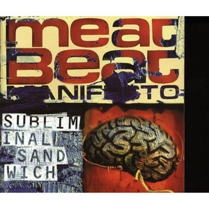 She's Unreal - Meat Beat Manifesto | Song Album Cover Artwork