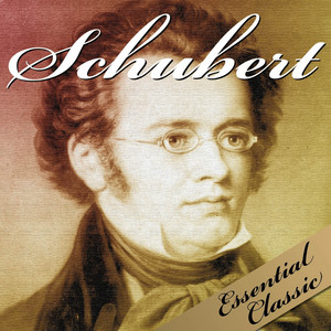 String Quartet No. 14 in D Minor, D. 810 "Death and the Maiden": II. Andante con moto - Franz Schubert | Song Album Cover Artwork