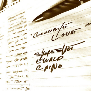 Goodbye Love - Shoreshot | Song Album Cover Artwork