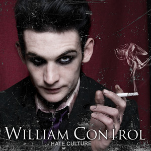Strangers - William Control | Song Album Cover Artwork