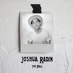 Falling - Joshua Radin | Song Album Cover Artwork