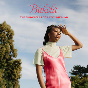 Fight For Me - Bukola | Song Album Cover Artwork