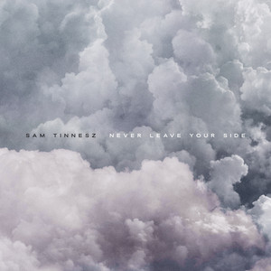 Never Leave Your Side - Sam Tinnesz | Song Album Cover Artwork