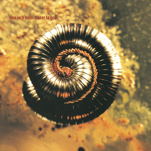 Closer to God - Nine Inch Nails | Song Album Cover Artwork