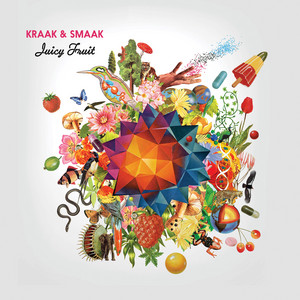 I Don't Know Why - Kraak & Smaak | Song Album Cover Artwork
