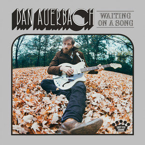 Never in My Wildest Dreams - Dan Auerbach | Song Album Cover Artwork