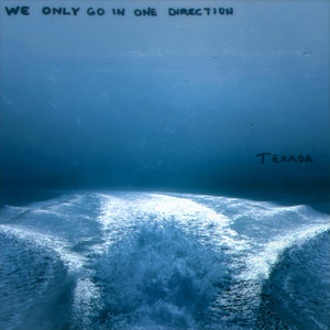 We Only Go In One Direction - Texada