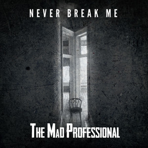 Never Break Me - The Mad Professional | Song Album Cover Artwork
