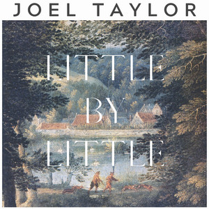 Little by Little Joel Taylor | Album Cover