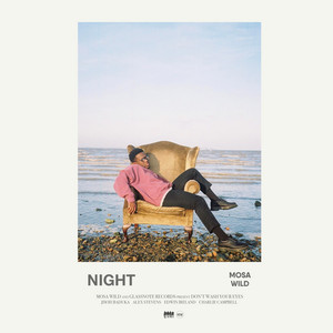 Night - Mosa Wild | Song Album Cover Artwork
