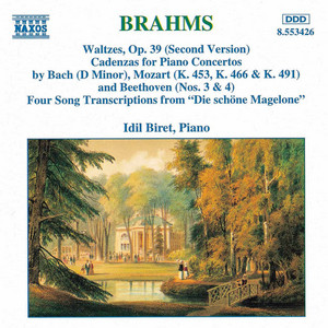 16 Waltzes, Op. 39 (1867 version): No. 11 in B Minor - Johannes Brahms | Song Album Cover Artwork