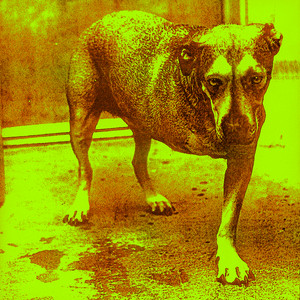 Again - Alice In Chains | Song Album Cover Artwork