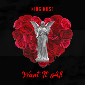 Want It All - King Nuse