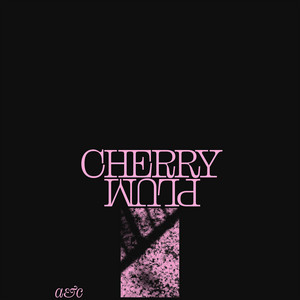 Cherry Plum - Astronauts, etc. | Song Album Cover Artwork