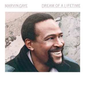 Dream of a Lifetime - Marvin Gaye | Song Album Cover Artwork