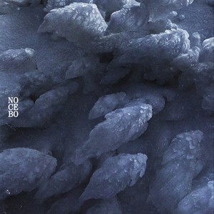 Nocebo - Alto Arc | Song Album Cover Artwork