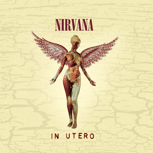 Rape Me - Nirvana | Song Album Cover Artwork