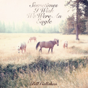 My Friend - Bill Callahan | Song Album Cover Artwork