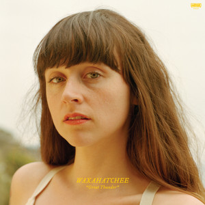 Takes so Much - Waxahatchee | Song Album Cover Artwork