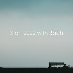 Brandenburg Concerto No. 5 in D, BWV 1050: 2. Affetuoso - Johann Sebastian Bach | Song Album Cover Artwork