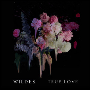 True Love - WILDES | Song Album Cover Artwork
