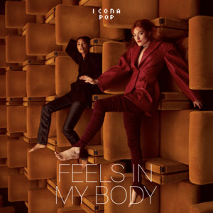 Feels in My Body - Icona Pop | Song Album Cover Artwork